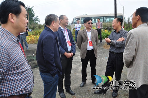 泸县政协视察泸县农业特色产业发展情况(图1)