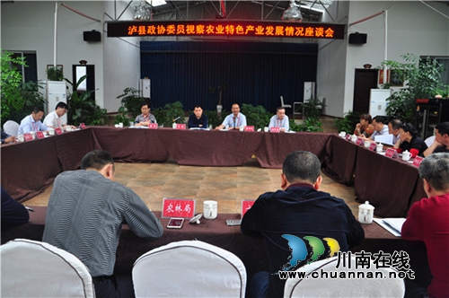 泸县政协视察泸县农业特色产业发展情况(图3)