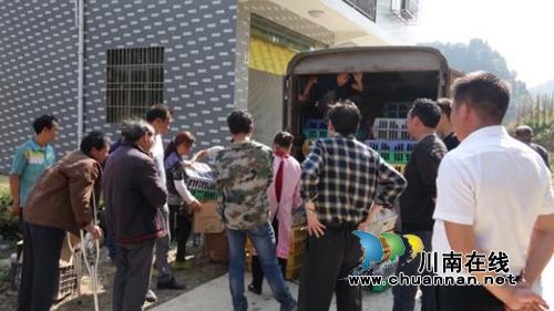 古蔺县国土资源局为鱼化乡风驰村送鸡苗扶贫助困(图1)