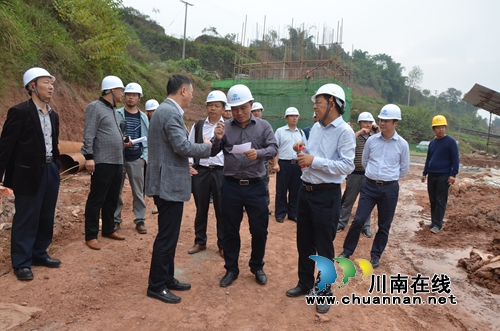 张国华到泸县太伏镇督查三星桥水库建设(图1)