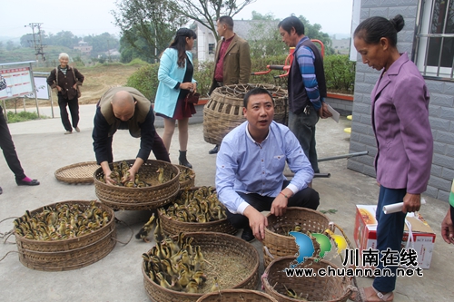 泸县云龙镇为精准扶贫对象发放生产物资(图4) 泸县云龙镇为精准扶贫对象发放生产物资(图4)
