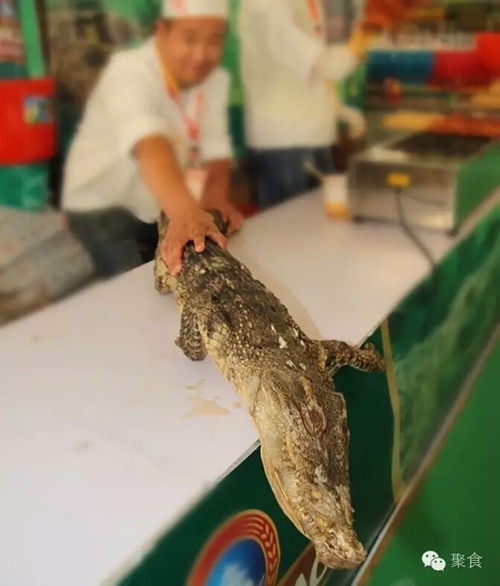 今天到泸州佳乐金街&nbsp;体验一场全球美食之旅(图3)