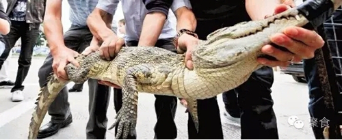 今天到泸州佳乐金街&nbsp;体验一场全球美食之旅(图2)