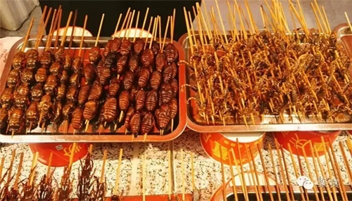 今天到泸州佳乐金街&nbsp;体验一场全球美食之旅(图15)