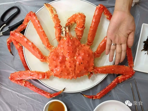 今天到泸州佳乐金街&nbsp;体验一场全球美食之旅(图18)