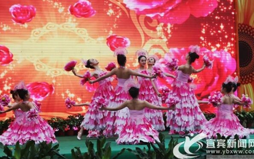 布花150万盆&nbsp;宜宾第四届龙头山菊花节正式开幕(图1)