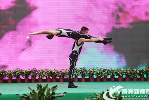 布花150万盆&nbsp;宜宾第四届龙头山菊花节正式开幕(图3)