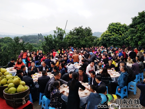 “柚”惑难挡!合江密溪真龙柚免费品鉴尝鲜(图10) “柚”惑难挡!合江密溪真龙柚免费品鉴尝鲜(图10)