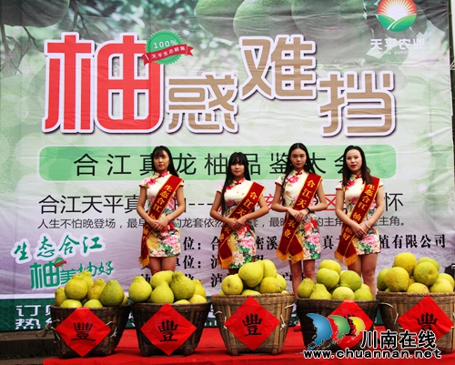 “柚”惑难挡!合江密溪真龙柚免费品鉴尝鲜(图1) “柚”惑难挡!合江密溪真龙柚免费品鉴尝鲜(图1)