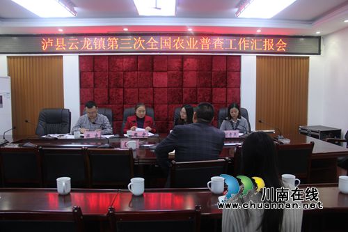 周宇率队到泸县云龙镇督查第三次全国农业普查工作进展情况(图1)