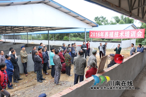 泸县潮河镇召开生猪养殖现场培训会(图1)