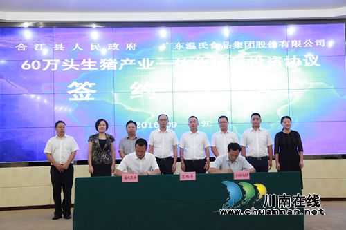 60万“二师兄”将来合江&nbsp;带来10亿元产值(图1)