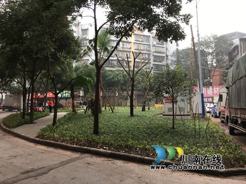 泸州龙马潭区红星街道打造“花园式”社区(图1) 泸州龙马潭区红星街道打造“花园式”社区(图1)