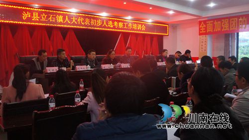 泸县立石镇召开县镇人大代表初步人选考察工作培训会(图1)