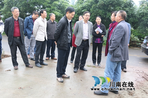 泸州市委督导组到潮河镇督导龙眼种植基地建设(图1)