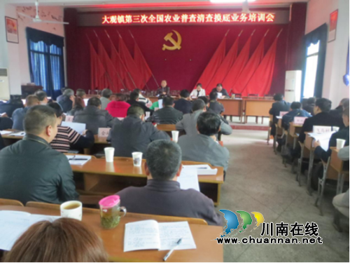 宜宾大观镇召开第三次全国农业普查清查摸底业务培训会(图1)