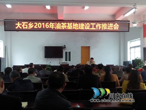 叙永大石乡召开2016年油茶基地建设工作推进会(图1)