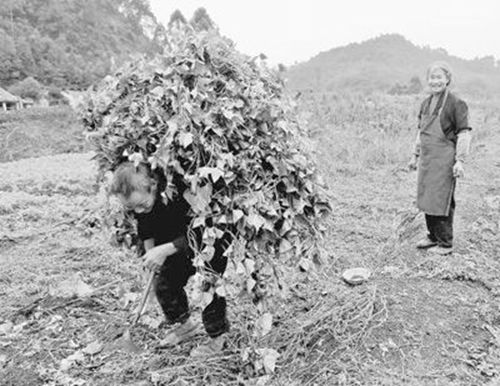嘉阳矿区&nbsp;绿色转身(图3)