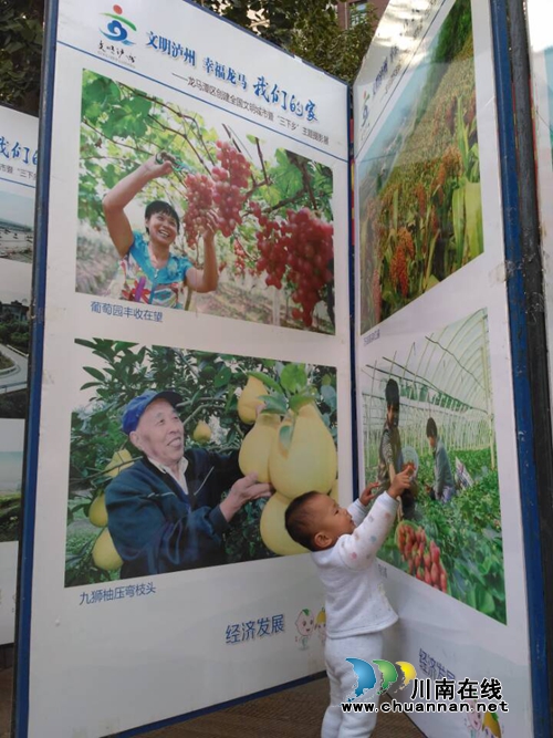 红星街道市民素质提升文明大巡讲“六个一”活动火热进行中(图2)