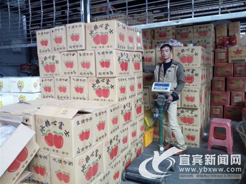 3万斤苹果运抵宜宾滞销&nbsp;甘肃果农一筹莫展(图1)