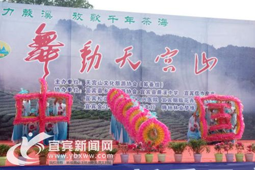 宜宾县蕨溪镇&nbsp;放歌天宫山舞动千年茶海(图1)