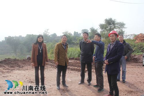 泸县县委常委、代理县长肖刚到云龙镇走访调研(图1)