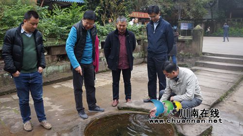 重庆旅游投资集团到立石开展招商引资项目考察(图1)