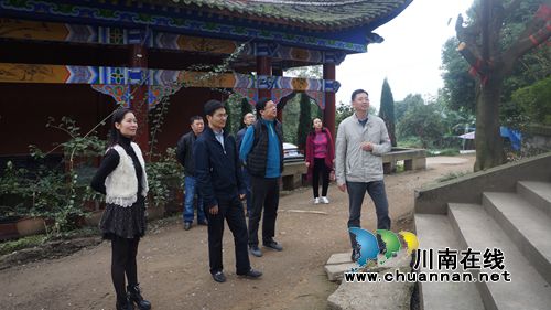 重庆旅游投资集团到立石开展招商引资项目考察(图3)