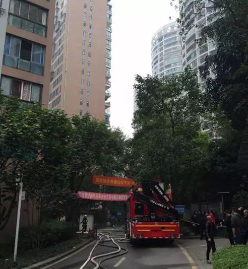 泸州城西一小区突发火灾&nbsp;27楼公寓黑烟滚滚(图8)