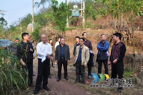 泸县机电灌溉保障体系项目通过省级初步验收(图2) 泸县机电灌溉保障体系项目通过省级初步验收(图2)