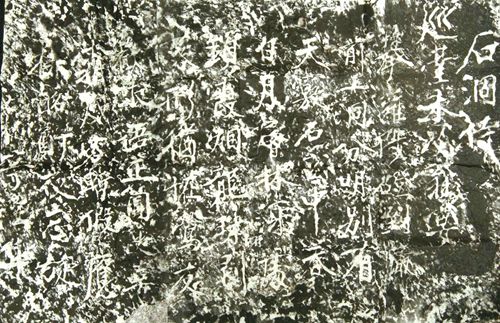泸州产皇木 遥迢进京城(图1) 泸州产皇木 遥迢进京城(图1)