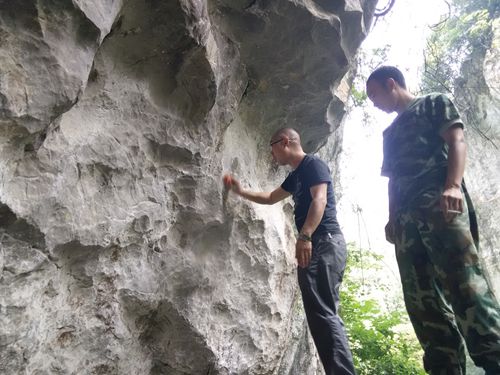 泸州产皇木 遥迢进京城(图5) 泸州产皇木 遥迢进京城(图5)