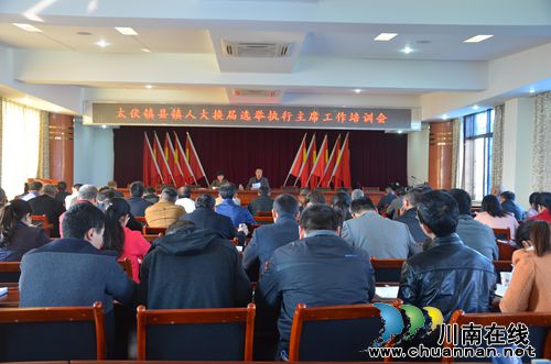 太伏镇召开县镇人大换届选举执行主席工作培训会(图1) 太伏镇召开县镇人大换届选举执行主席工作培训会(图1)