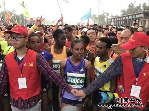 泸州国际绿色马拉松赛开赛(图4) 泸州国际绿色马拉松赛开赛(图4)
