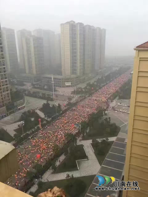 泸州国际绿色马拉松赛开赛(图2) 泸州国际绿色马拉松赛开赛(图2)