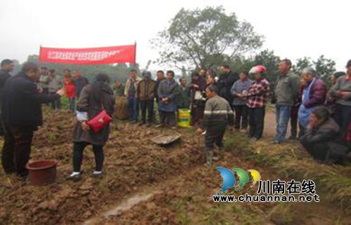 泸州合江:贫困村“农民夜校”开学上课了(图1) 泸州合江:贫困村“农民夜校”开学上课了(图1)