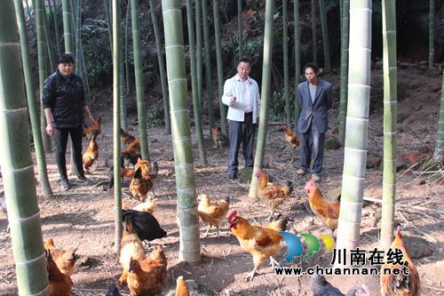 纳溪白节:“第一书记”爱心帮扶64户贫困户(图1) 纳溪白节:“第一书记”爱心帮扶64户贫困户(图1)