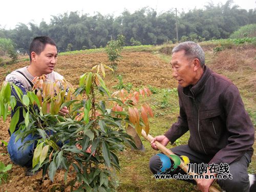 泸州：以村为家失“小家”&nbsp;这个村支书不言悔(图1)