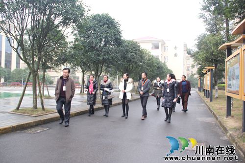 泸县迎接三类城市语言文字工作检查和评估(图3)