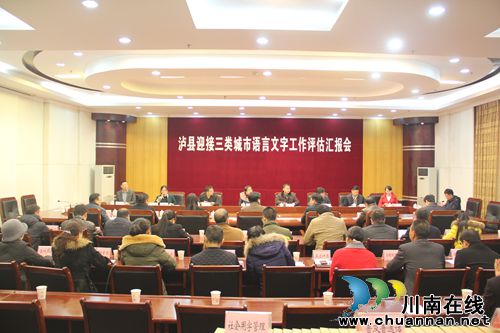 泸县迎接三类城市语言文字工作检查和评估(图2)