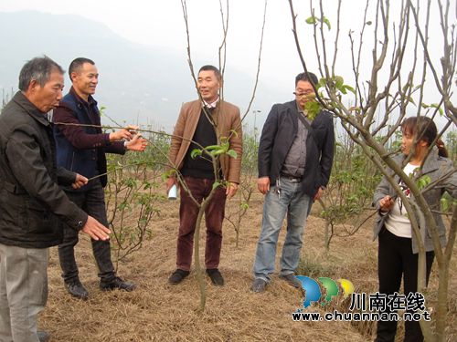 泸州方山村：“簸箕书记”站好最后一班岗(图1)