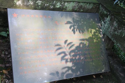 泸州：城中伪文化&nbsp;依然在蔓延(图2)