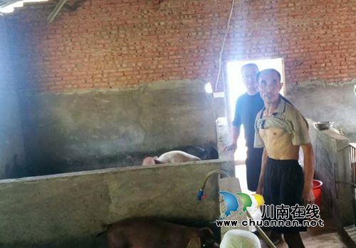 叙永县大石乡旺龙村开展农业科普知识宣传活动(图4)