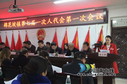 纳溪棉花坡镇第七届人代会第一次会议胜利召开(图1)