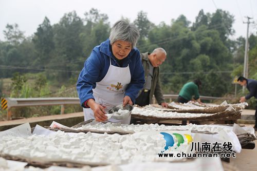 纳溪:留守妇女巧制红苕淀粉 抗风险又增收(图1) 纳溪:留守妇女巧制红苕淀粉 抗风险又增收(图1)