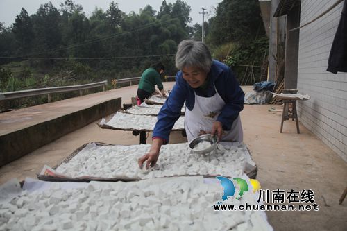 纳溪:留守妇女巧制红苕淀粉 抗风险又增收(图2) 纳溪:留守妇女巧制红苕淀粉 抗风险又增收(图2)