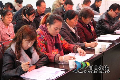 叙永县大石乡顺利召开第七届人民代表大会第一次会议(图4)