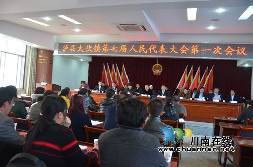 泸县太伏镇隆重召开第七届人民代表大会第一次会议(图3)