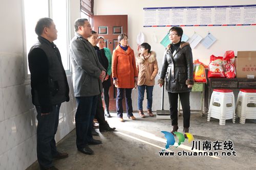 泸县县委宣传部长陈佳带队调研潮河镇工作(图1)