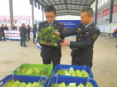 扫描检测 宜宾首批300箱蔬菜实现直通香港(图1) 扫描检测 宜宾首批300箱蔬菜实现直通香港(图1)